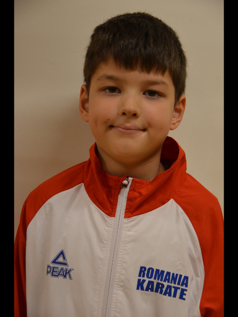 darius.niculescu